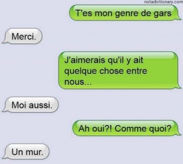 Learn French With Memes: The Wall Joke