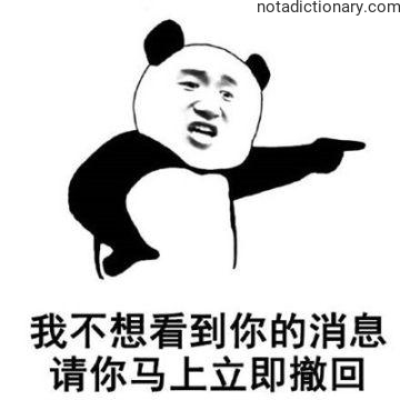 Learn Chinese With Memes: Take Back Your Message