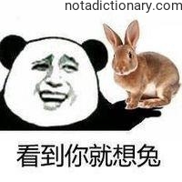 Learn Chinese With Memes: The Rabbit Pun