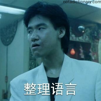 Learn Chinese With Memes: 整理语言