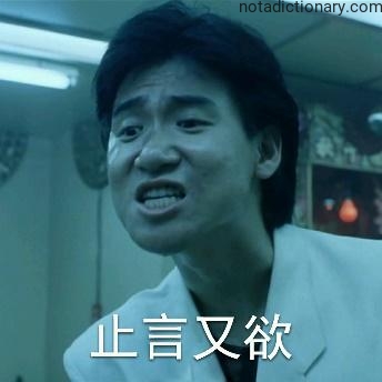 Learn Chinese With Memes: 止言又欲