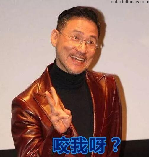 Learn Chinese With Memes: 咬我呀？