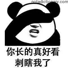 Learn Chinese With Memes: Too Beautiful To See