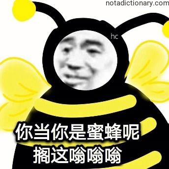 Learn Chinese With Memes: Stop Buzzing Like A Bee