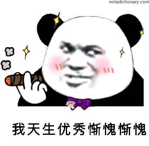 Learn Chinese With Memes: Born Excellent