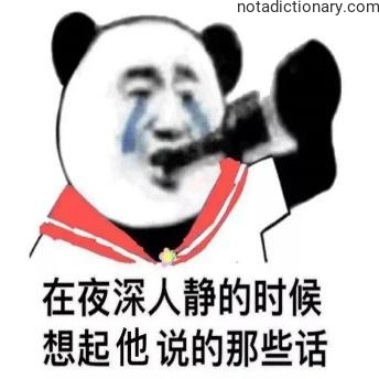 Learn Chinese With Memes: Late Night Thoughts
