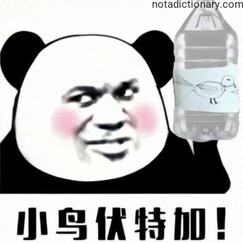 Learn Chinese With Memes: Xiao Niao Vodka!