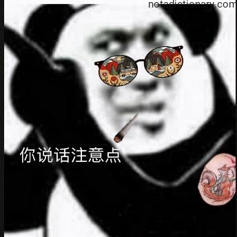 Learn Chinese With Memes: Watch Your Words