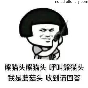 Learn Chinese With Memes: Calling Panda Head