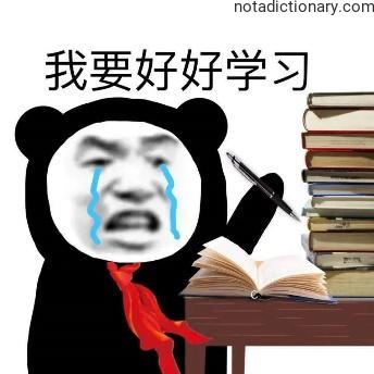 Learn Chinese With Memes: I Must Study Hard