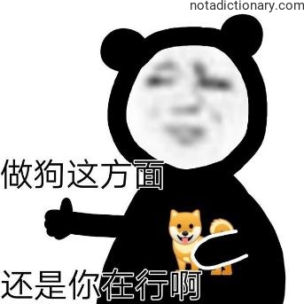 Learn Chinese With Memes: Being A Dog Expert