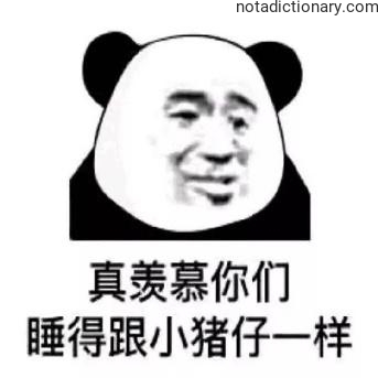 Learn Chinese With Memes: Sleeping Like Piglets