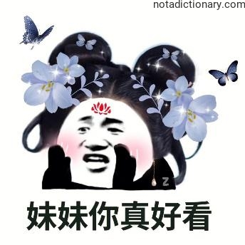 Learn Chinese With Memes: You Look So Pretty