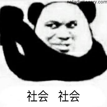 Learn Chinese With Memes: The Meaning of Shehui
