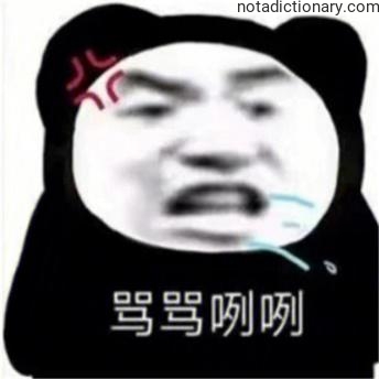 Learn Chinese With Memes: Expressing Grumbling