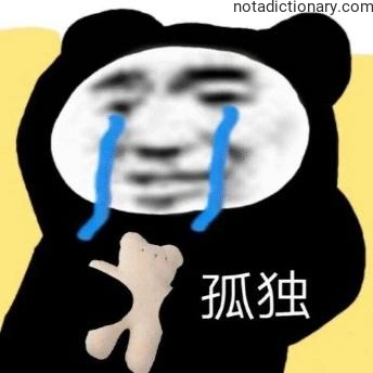 Learn Chinese With Memes: The Feeling of Loneliness