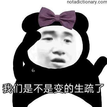 Learn Chinese With Memes: Growing Apart?
