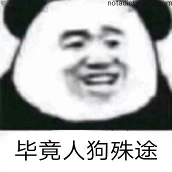 Learn Chinese With Memes: Humans vs Dogs