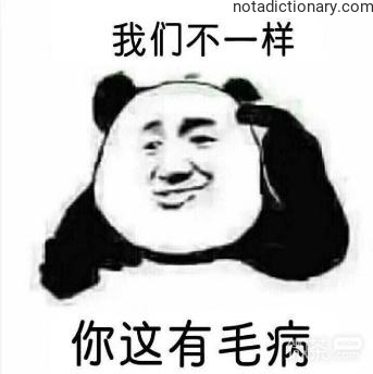 Learn Chinese With Memes: We Are Not The Same