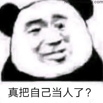 Learn Chinese With Memes: Taking Yourself Too Seriously