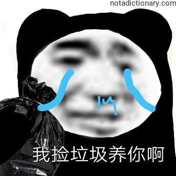Learn Chinese With Memes: I’ll Pick Trash For You