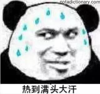 Learn Chinese With Memes: Sweating From The Heat