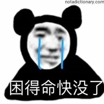 Learn Chinese With Memes: When You’re Too Tired