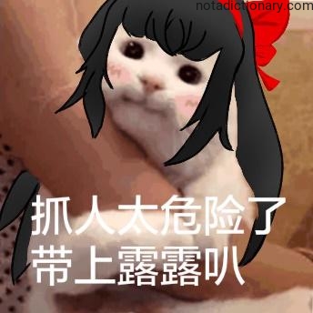 Learn Chinese With Memes: Catching People Is Dangerous