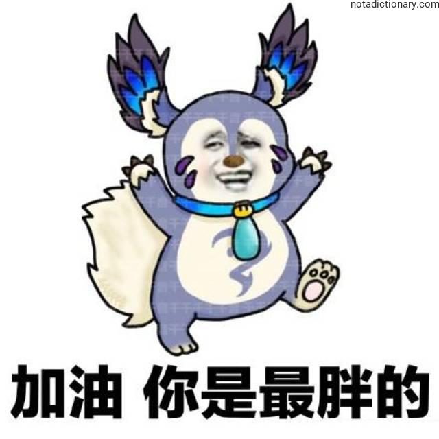 Learn Chinese With Memes: You Are The Chubbiest