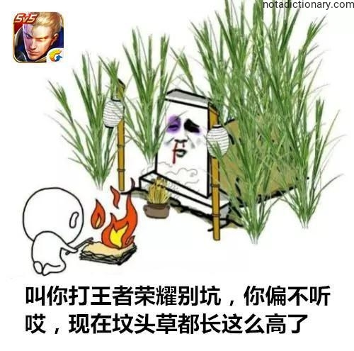 Learn Chinese With Memes: Gaming Graveyard Warning