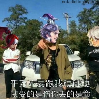 Learn Chinese With Memes: Don’t Clash With Me