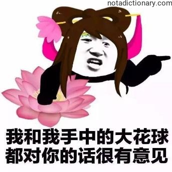 Learn Chinese With Memes: Big Flower Ball Disagrees