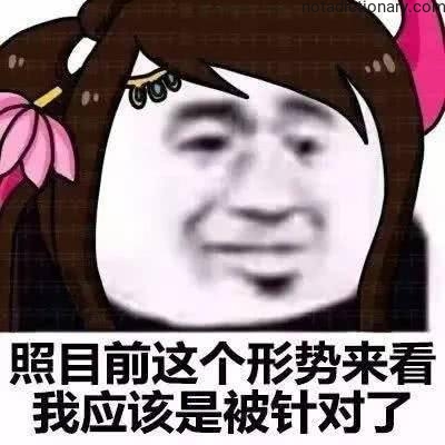 Learn Chinese With Memes: Being Targeted