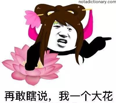 Learn Chinese With Memes: Threatening With Flowers