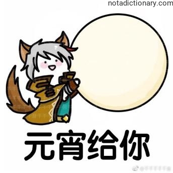 Learn Chinese With Memes: Yuanxiao For You
