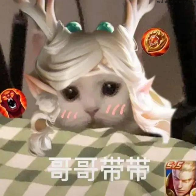 Learn Chinese With Memes: Gege Daidai Slang