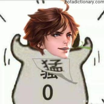 Learn Chinese With Memes: The Fierce Zero