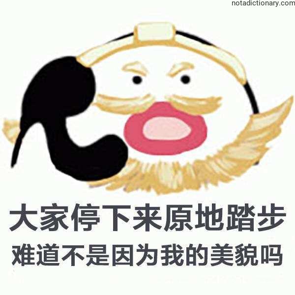 Learn Chinese With Memes: Stopping For My Beauty