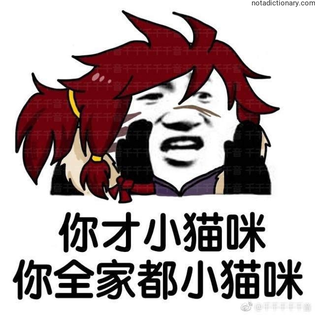 Learn Chinese With Memes: You Are The Kitten