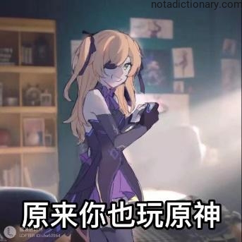 Learn Chinese With Memes: You Play Genshin Too