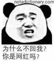 Learn Chinese With Memes: 为什么不回我？