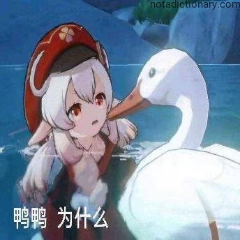 Learn Chinese With Memes: Asking Why To Ducks