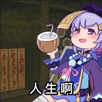 Learn Chinese With Memes: The Philosophy of Life