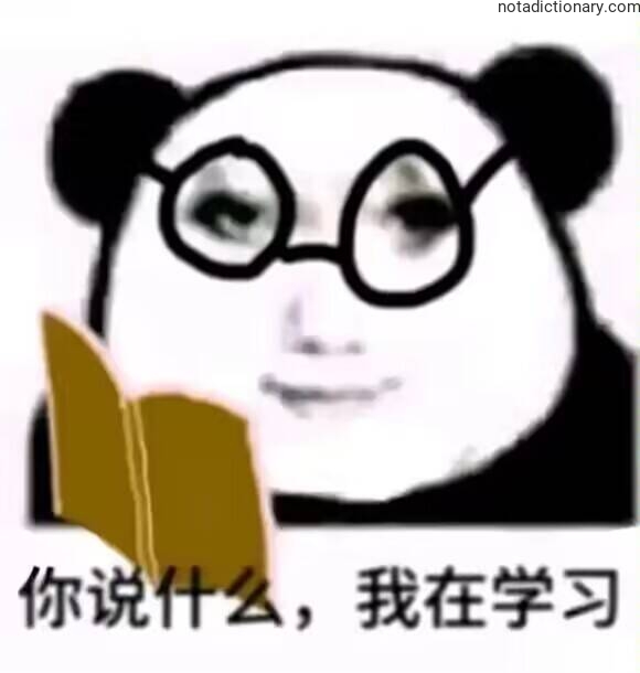 Learn Chinese With Memes: Studying Mode Activated