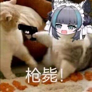 Learn Chinese With Memes: The Dramatic Command