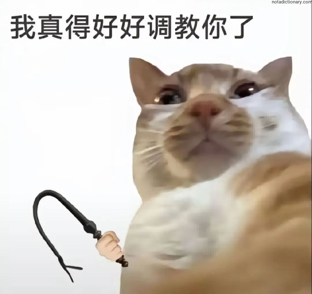 Learn Chinese With Memes: Time For Discipline