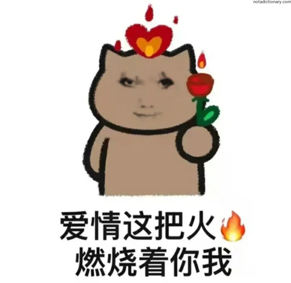 Learn Chinese With Memes: Love Is A Fire