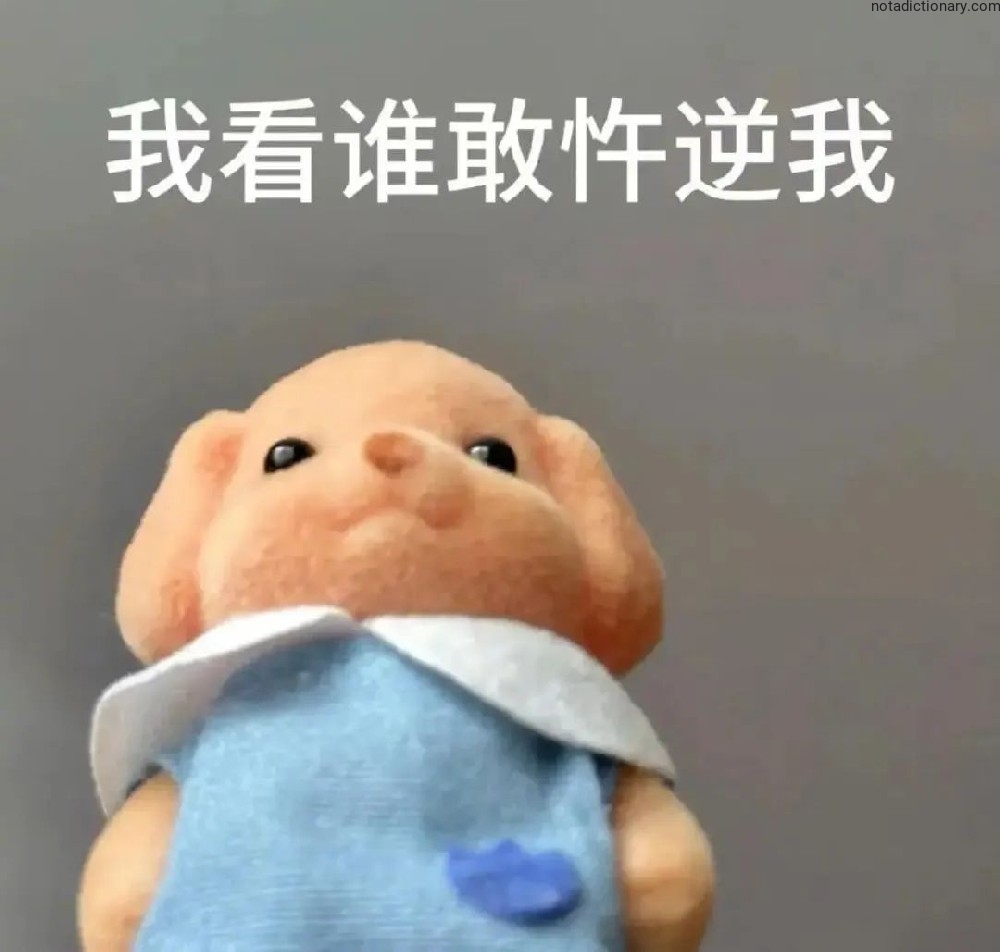 Learn Chinese With Memes: Who Dares Defy Me