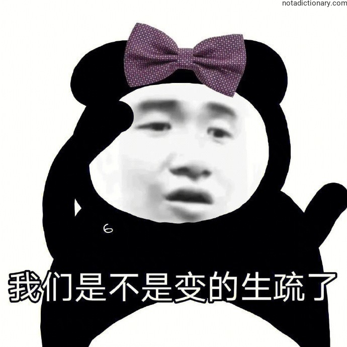Learn Chinese With Memes: Are We Drifting Apart