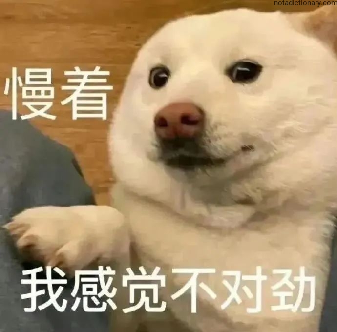 Learn Chinese With Memes: When Something Feels Off
